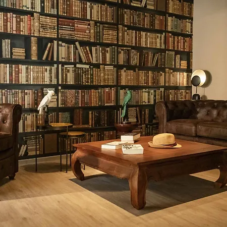 Отель Ibis Styles Sur